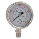 Bottom Connection Pressure Gauges, Hy-fitt - 1/4" BSPT, Stainless Steel Case