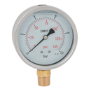 Bottom Connection Pressure Gauges, Hy-fitt - 1/2" BSPT, Stainless Steel Case, Heavy Duty