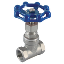 316 Stainless Steel Globe Valves, Haitima - BSPP