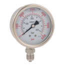 Bottom Connection Pressure Gauges, Hy-fitt - 1/4" BSPP, All Stainless Steel