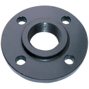 Forged Steel Flanges, FTM - Screwed, PN40/113