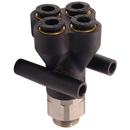 Male Stud Double Y's, Parker Legris - BSPP Male x Tube