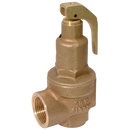High Lift Safety Valves (Fig 500), Nabic - BSPP