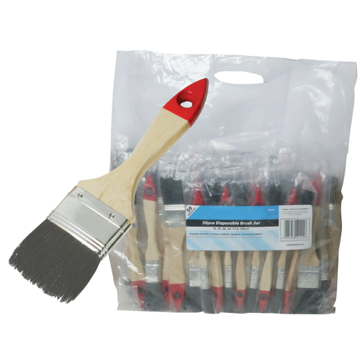 Paint Brushes - 50 Piece Budget Brush Set