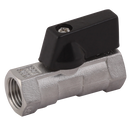 316 Stainless Steel Mini Valves, Haitima - Female x Female, BSPP