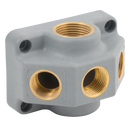 Polymer Manifolds, Aignep Infinity - 5 Way