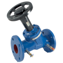 Art 250, Double Regulating, Flanged, Ductile Iron