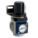 Regulators, KELM - 200 Series