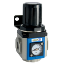 Regulators, KELM - 300 Series