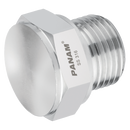 Plugs, Panam - BSPP Male