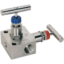 Manifold Valves, Panam - 2 Valve Manifold, Pipe to Pipe, NPT