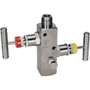 Manifold Valves, Panam - 2 Valve Manifold, Remote Mount, NPT