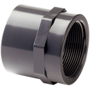 Sockets, Comer - Female x Tube