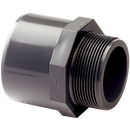 Studs, Comer - Male x Tube