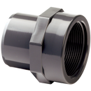 Studs, Comer - Female x Tube