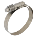 Constant Tension Clamps, C-Cure - 304 Stainless Steel, 15.8mm Band Width