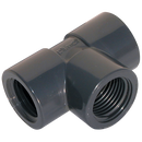 Tees, Comer - Equal, Female x Female