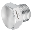 Plugs, Panam - BSPP Male